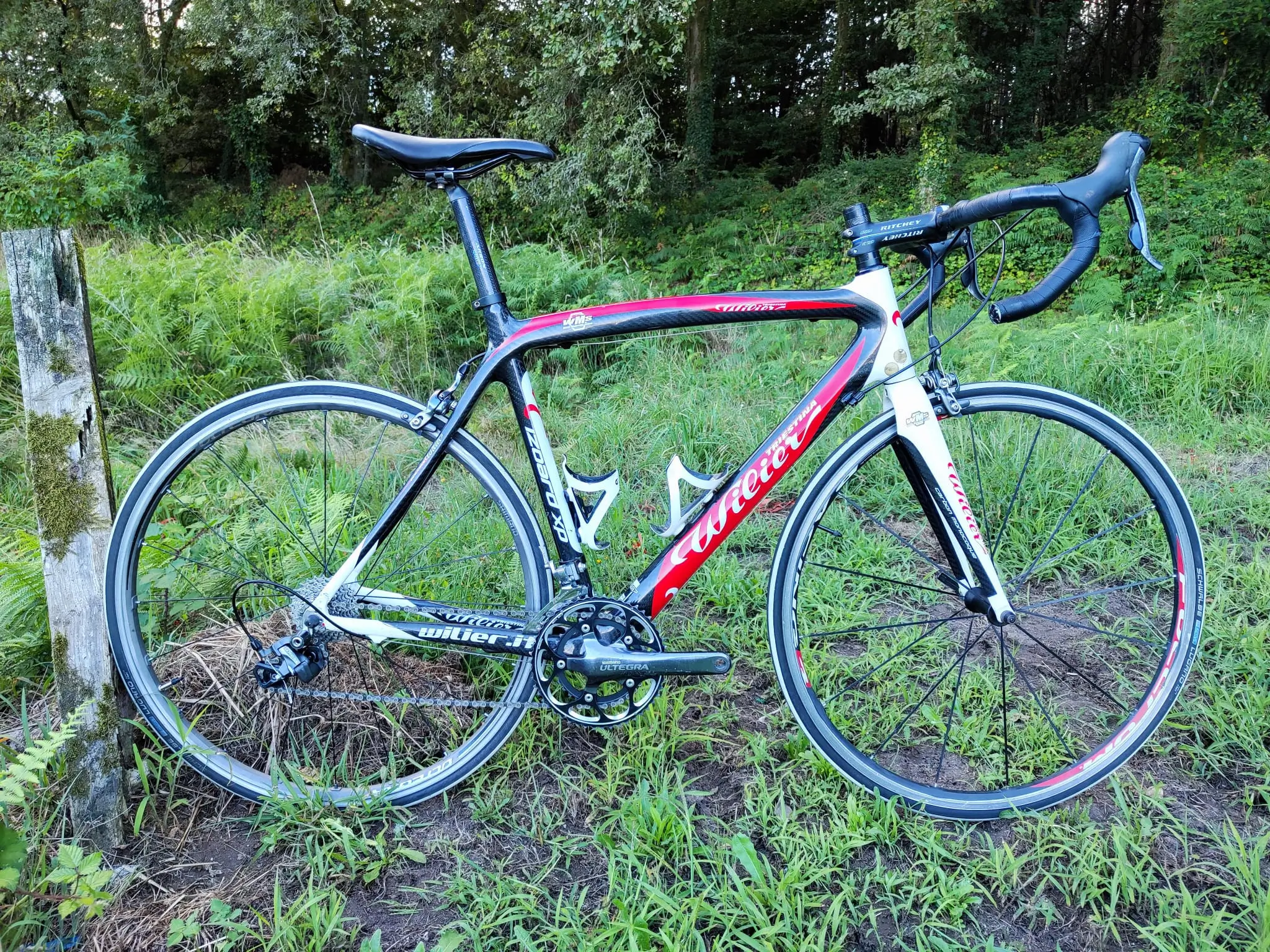 Wilier Izoard xp used in L | buycycle