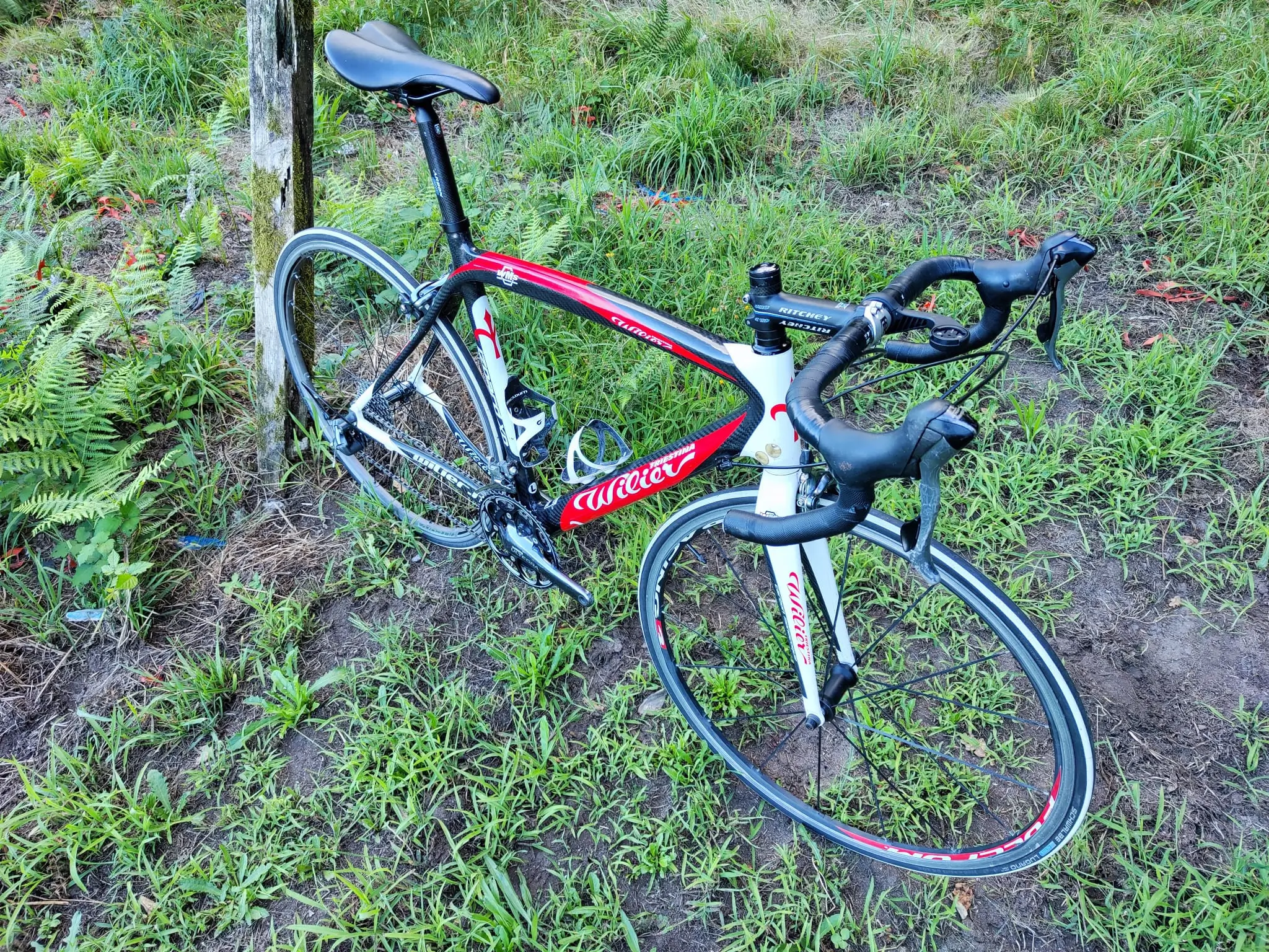 Wilier Izoard xp used in L buycycle