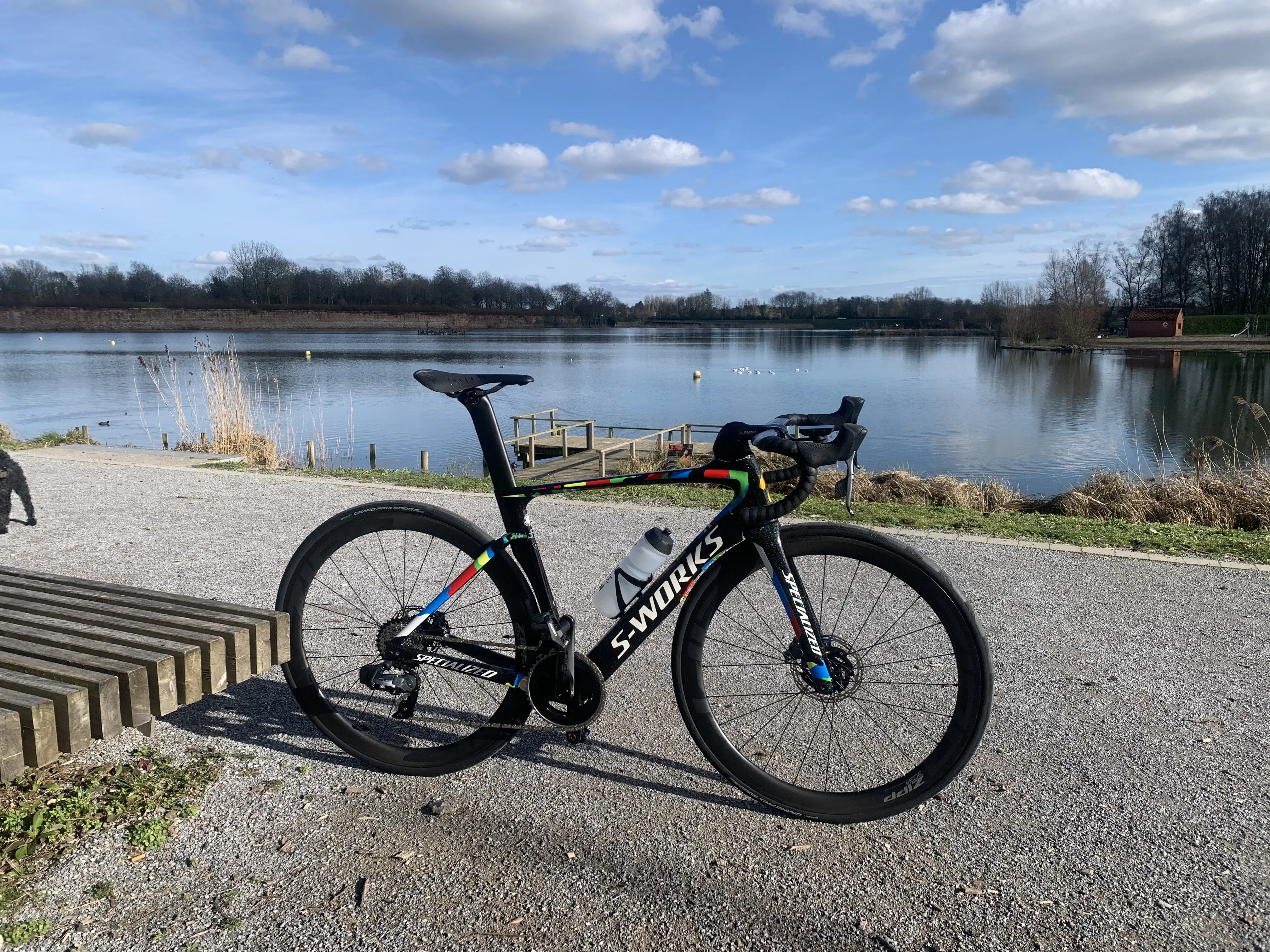 S-Works Venge ViAS Disc Sagan Superstar Edition