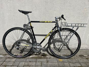 Vitus, 992 ovoid