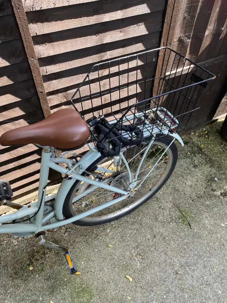 Pendleton somerby discount mint green bike