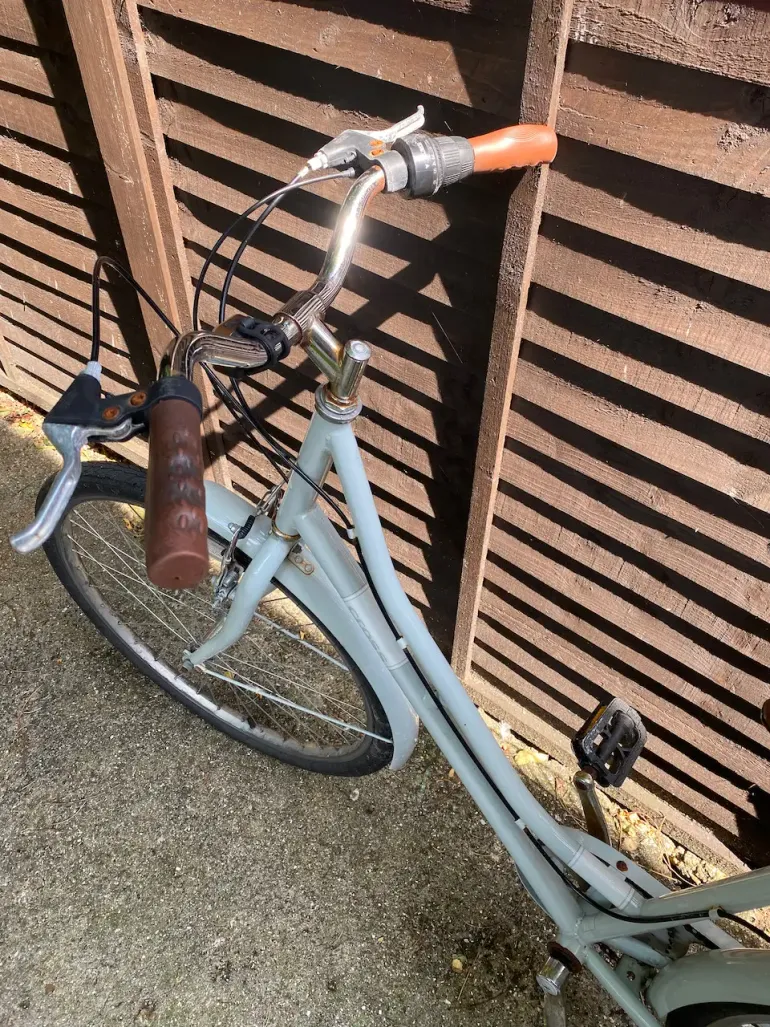 Pendleton somerby best sale mint green bike