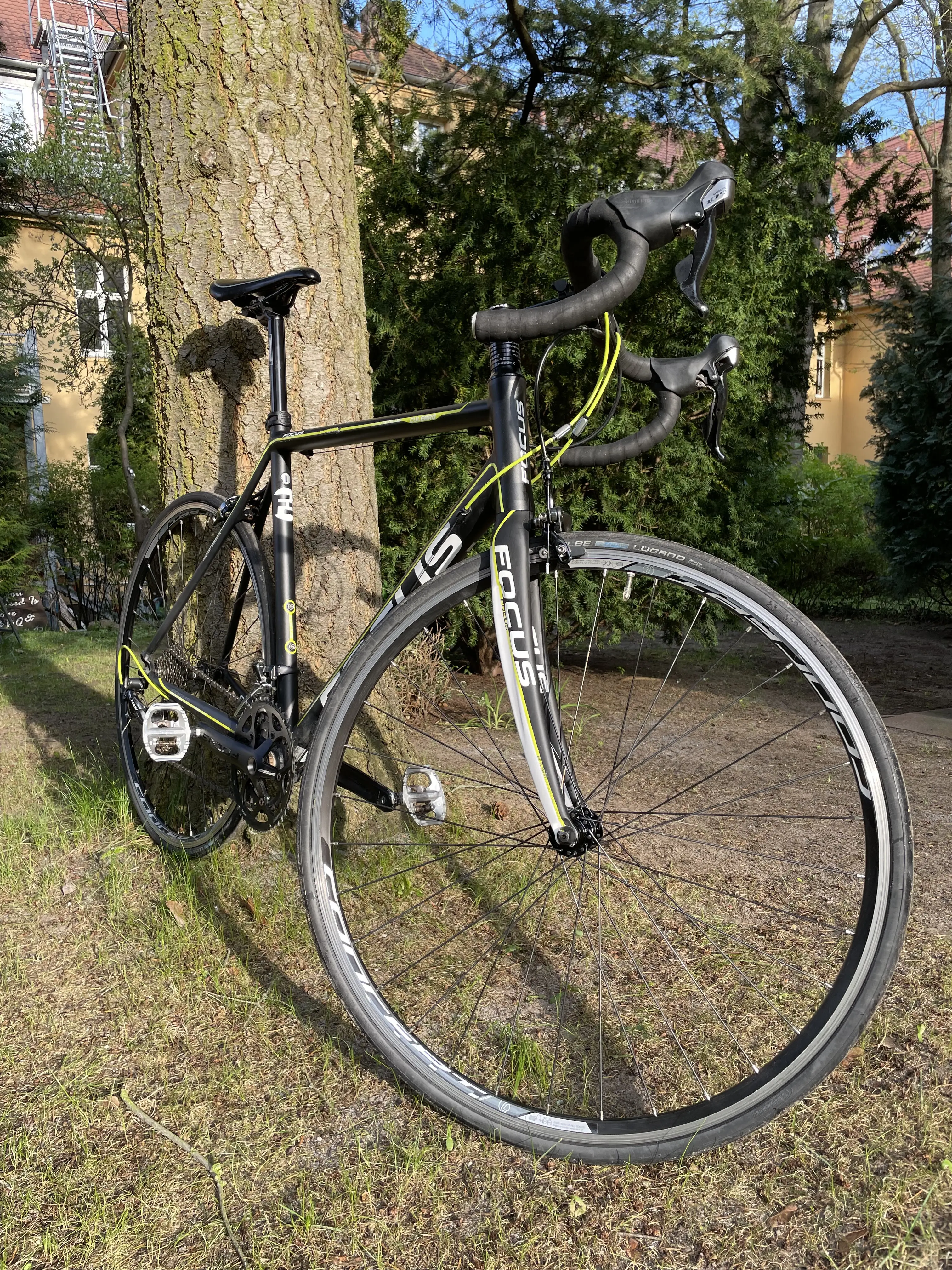 Focus Culebro SL 3.0 used in L buycycle