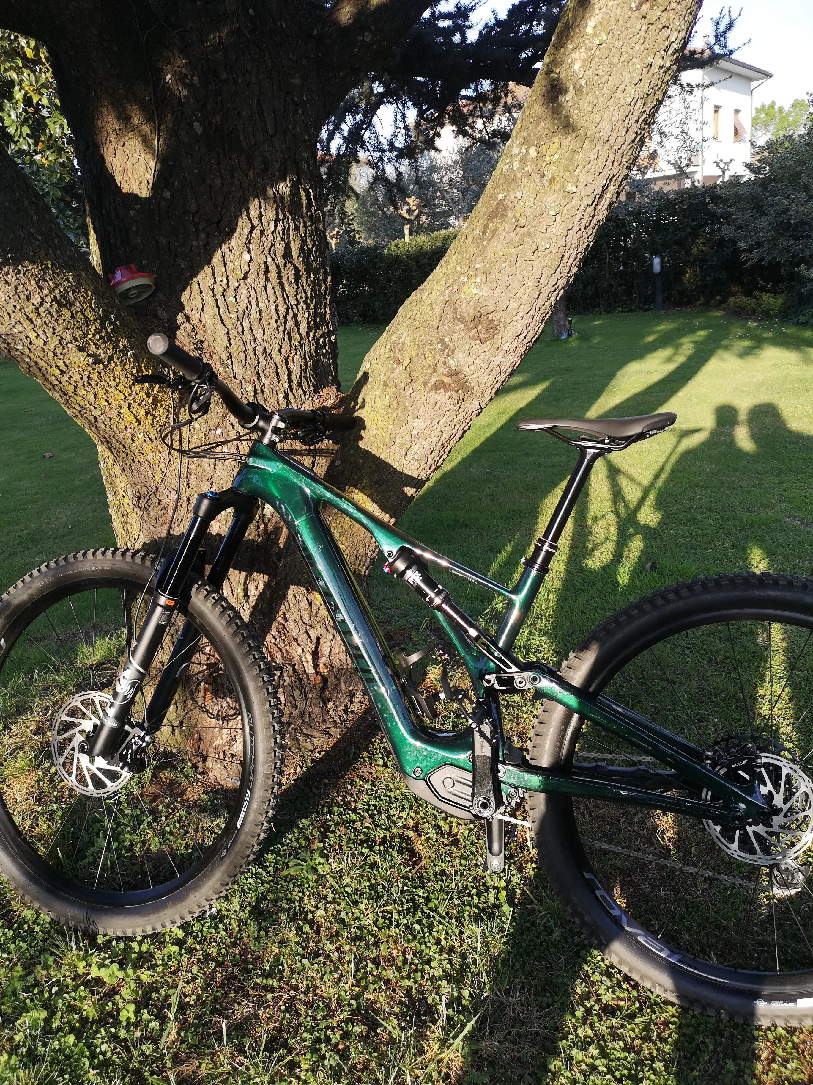 Levo sl comp online carbon 2021