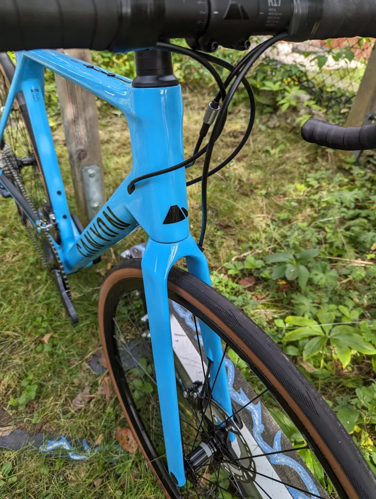 Canyon endurace cheap flash blue