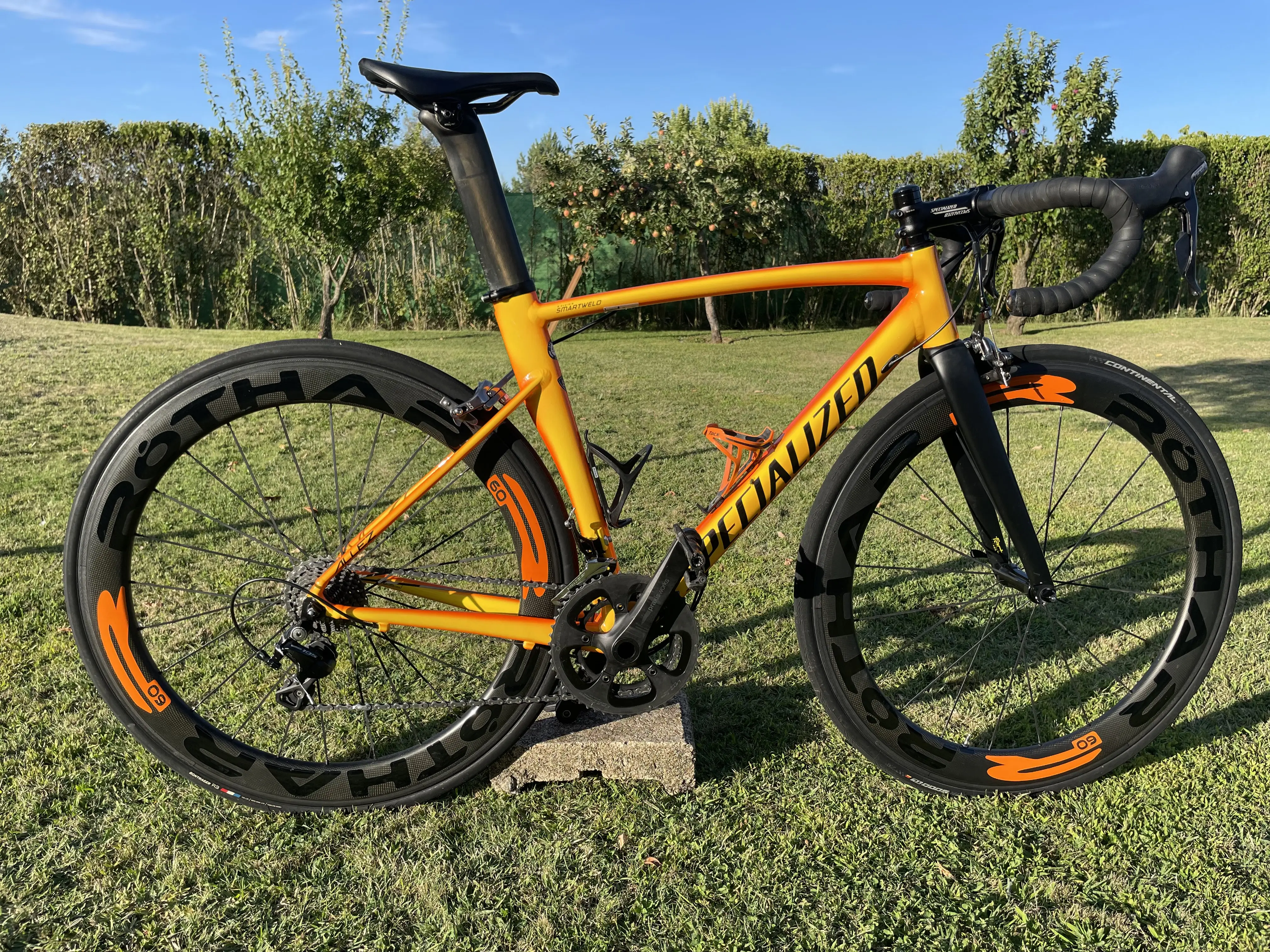 Specialized allez dsw sl deals sprint expert