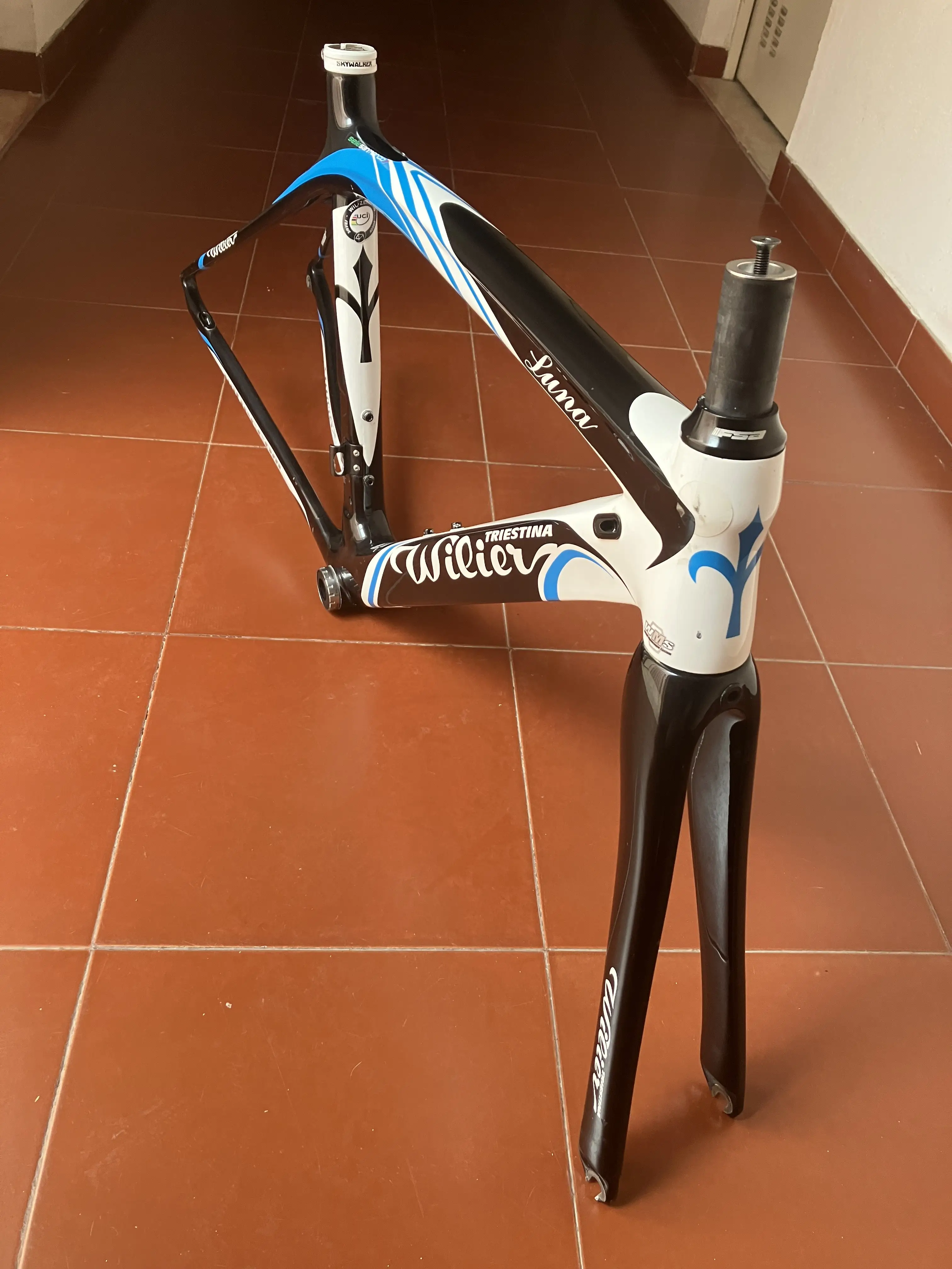 Wilier luna best sale carbon