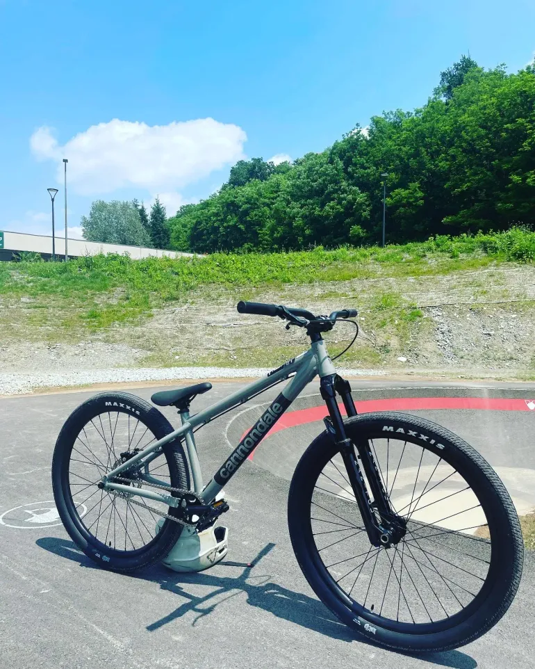 Used Cannondale Dave Dirt Jump 2023 Mountainbike, Light Gray — image 3 of 6