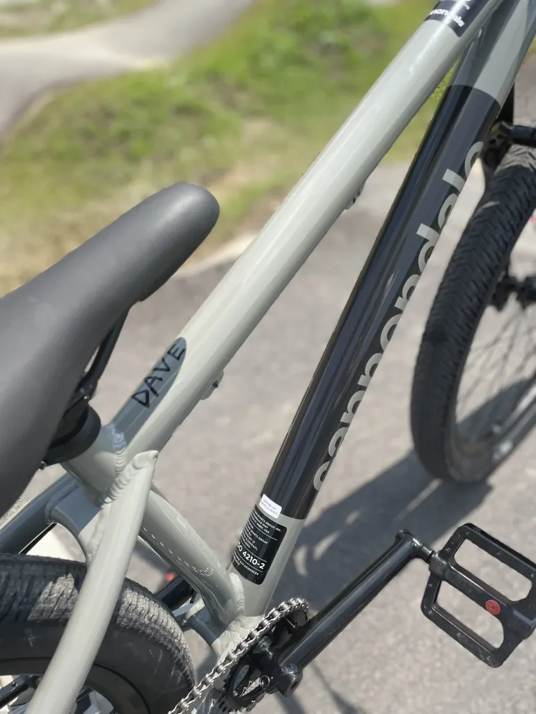 Used Cannondale Dave Dirt Jump 2023 Mountainbike, Light Gray — image 4 of 6