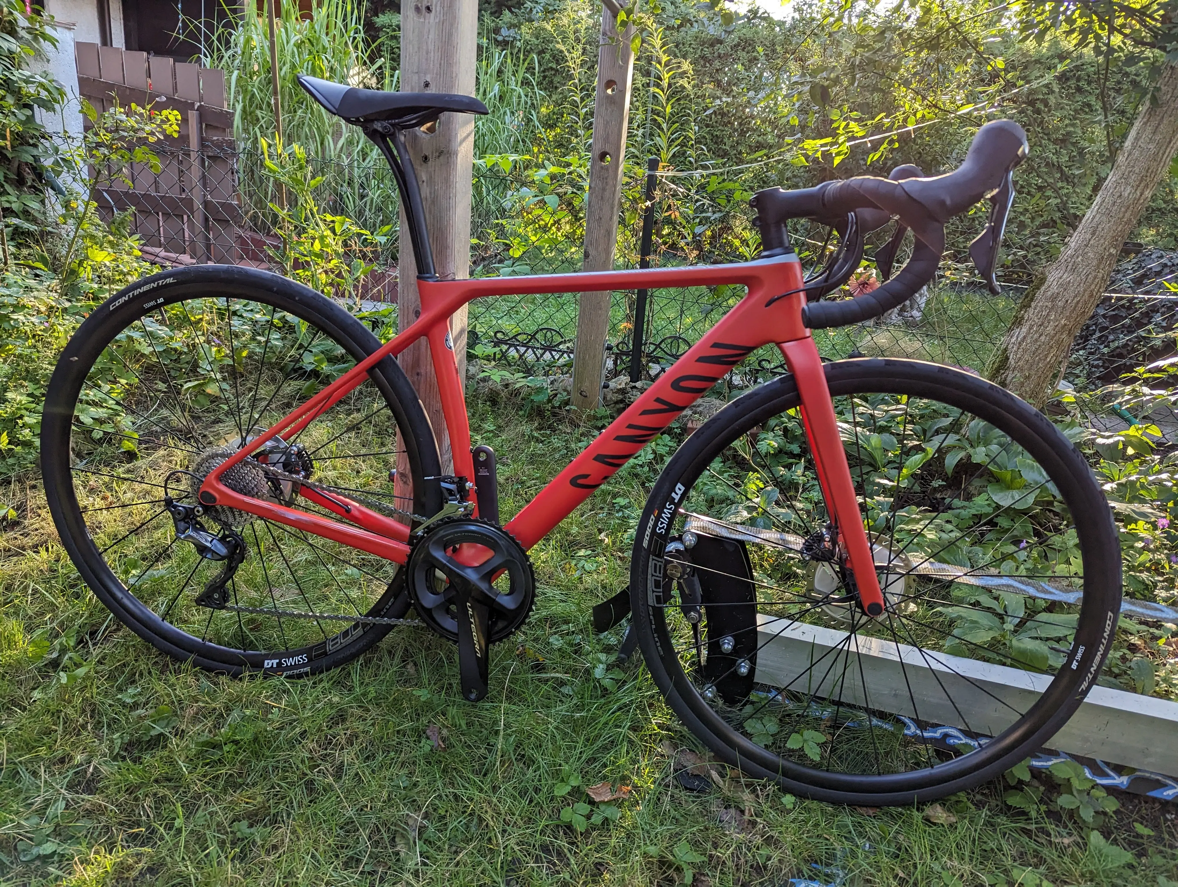 Canyon new endurace discount 2021