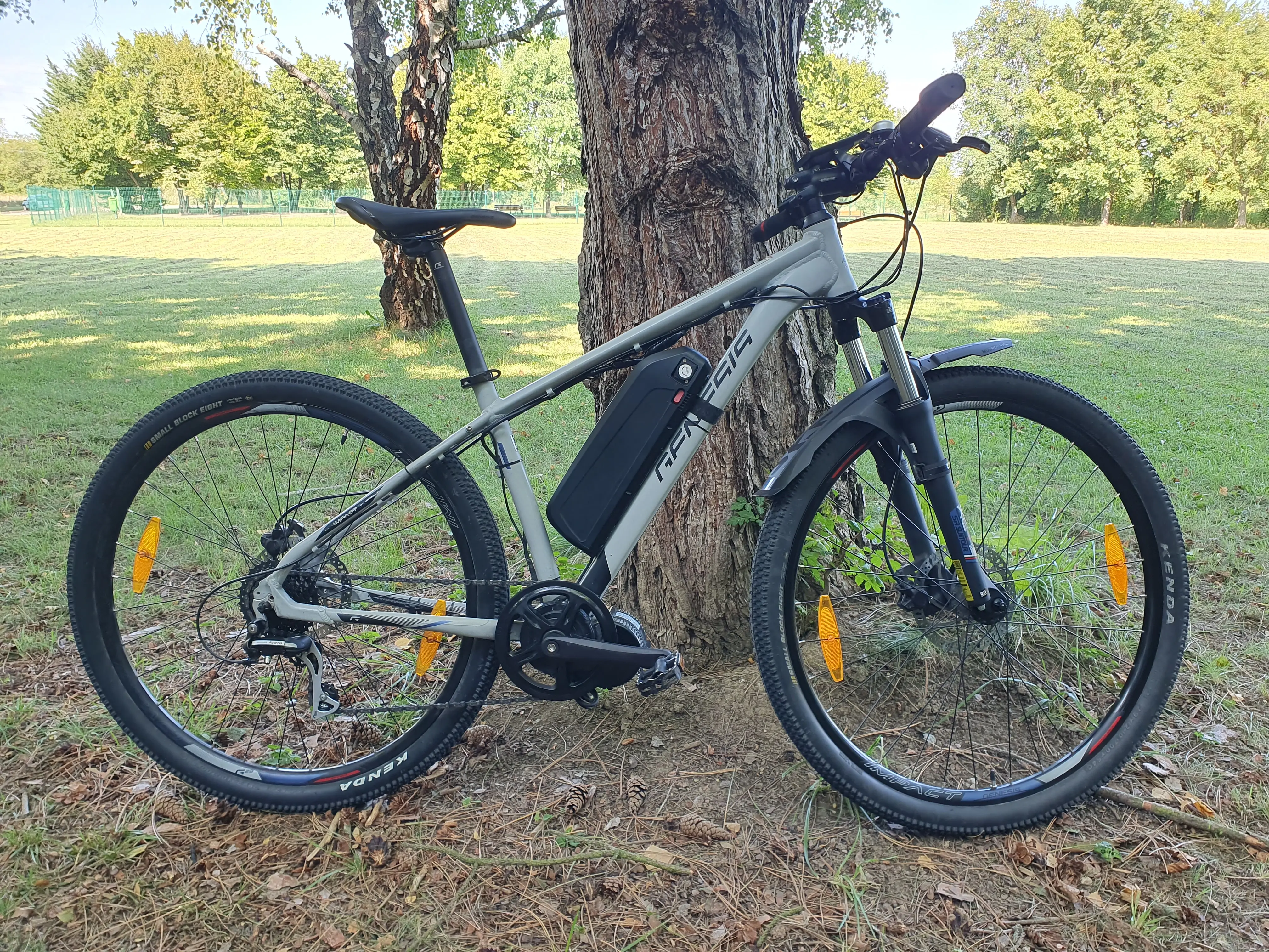 Genesis g29 online bike