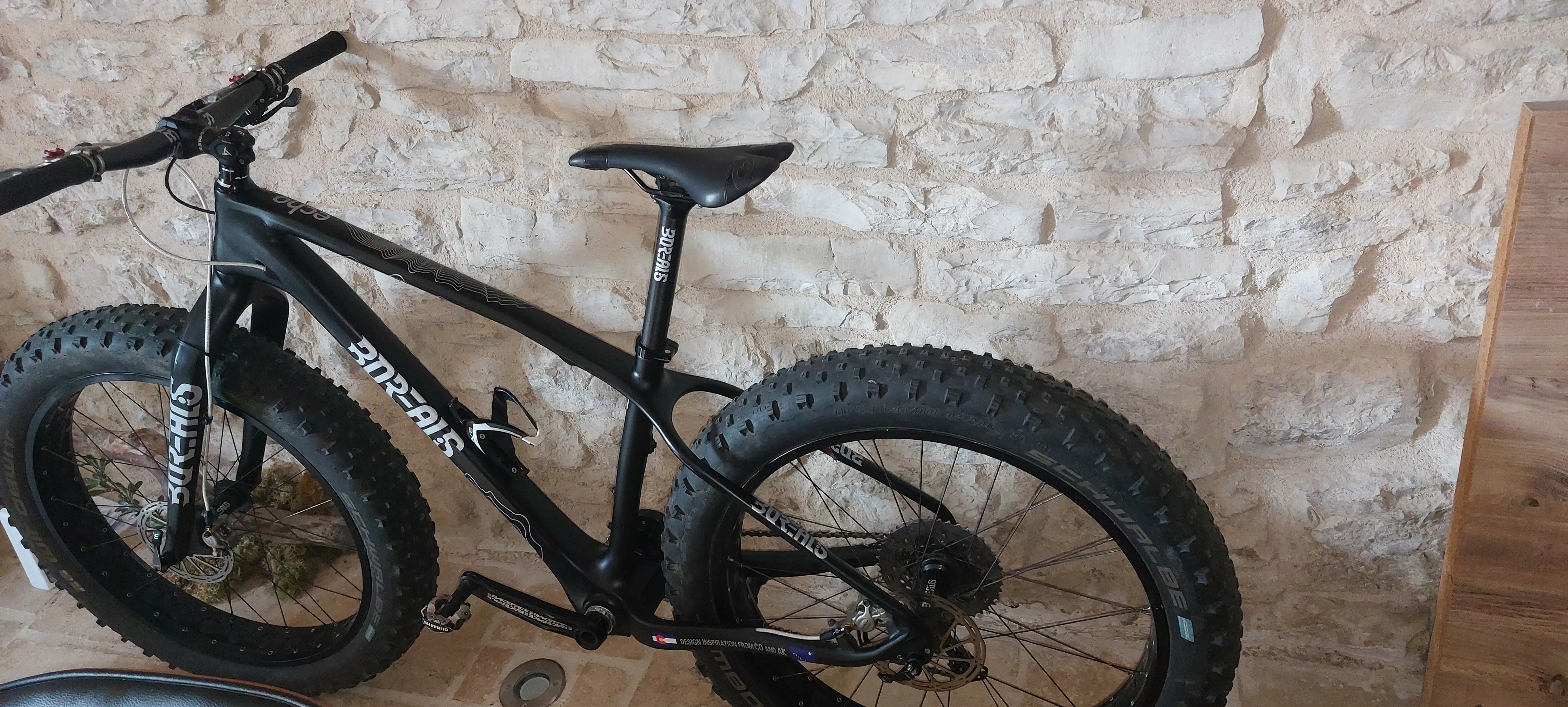 Borealis echo best sale fat bike