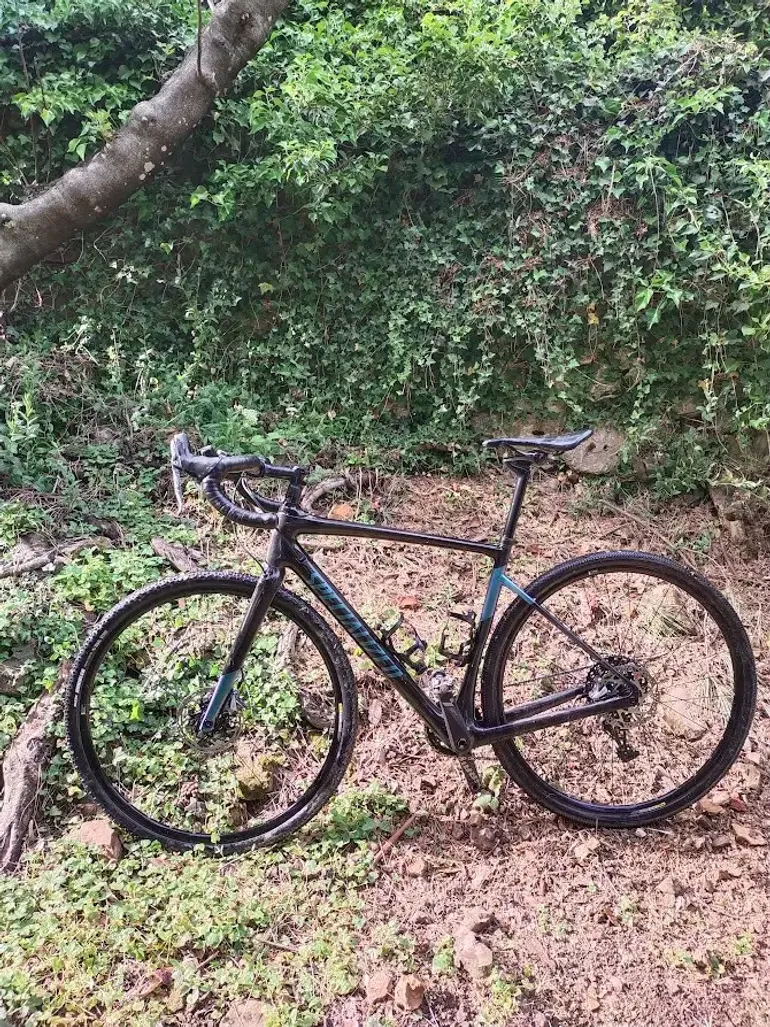 Specialized diverge discount expert x1 2019