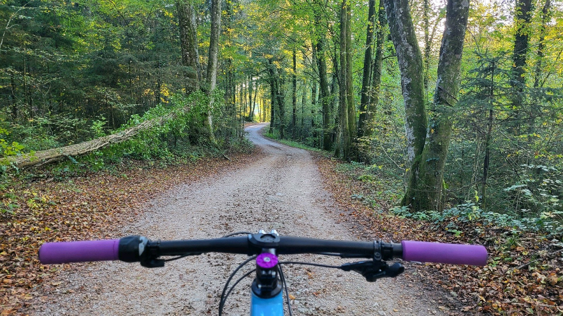 ROCKRIDER 29" SemiRigid Mountain Bike gebraucht kaufen LG buycycle