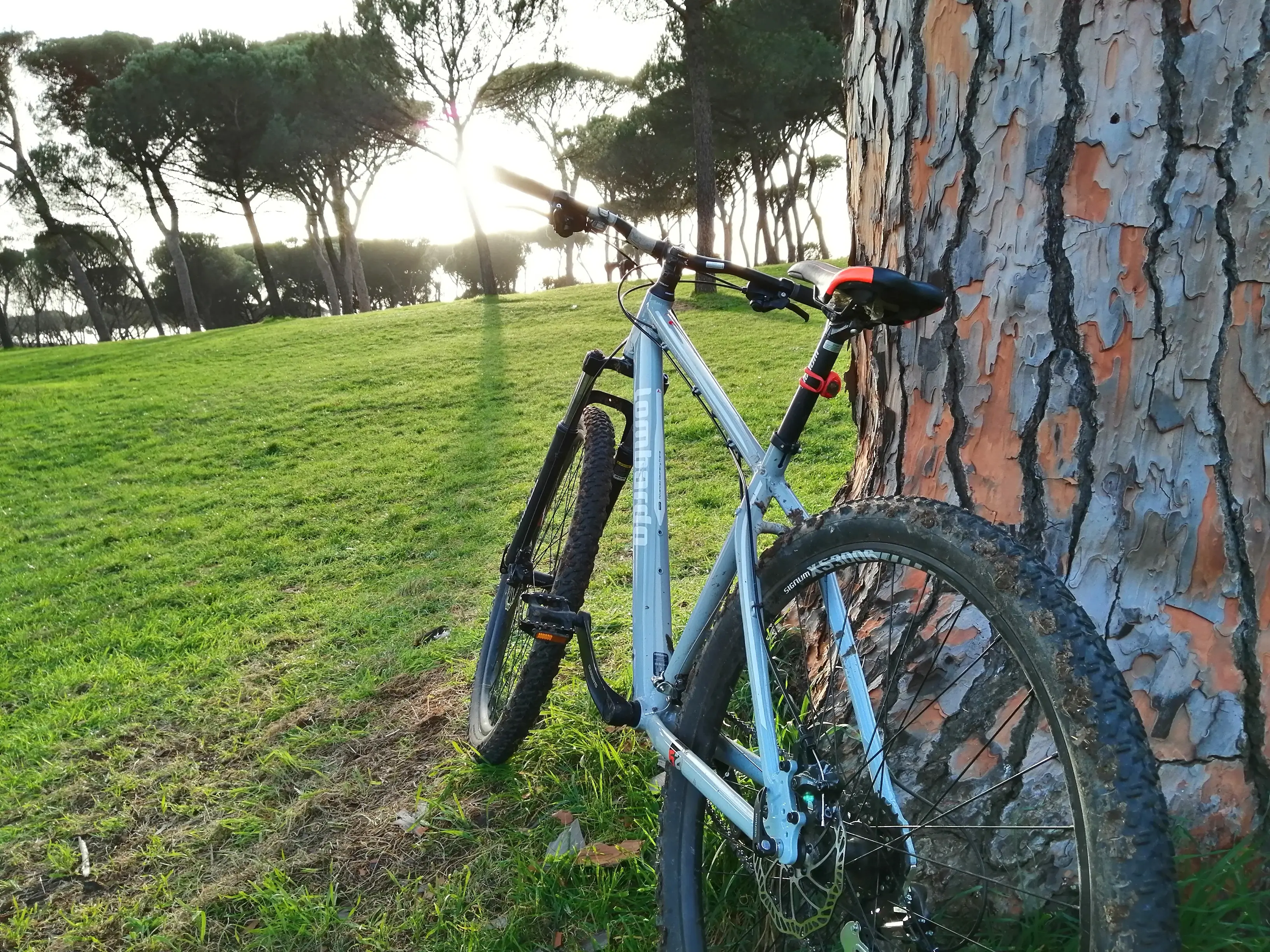 Lombardo 300 mountain online bike