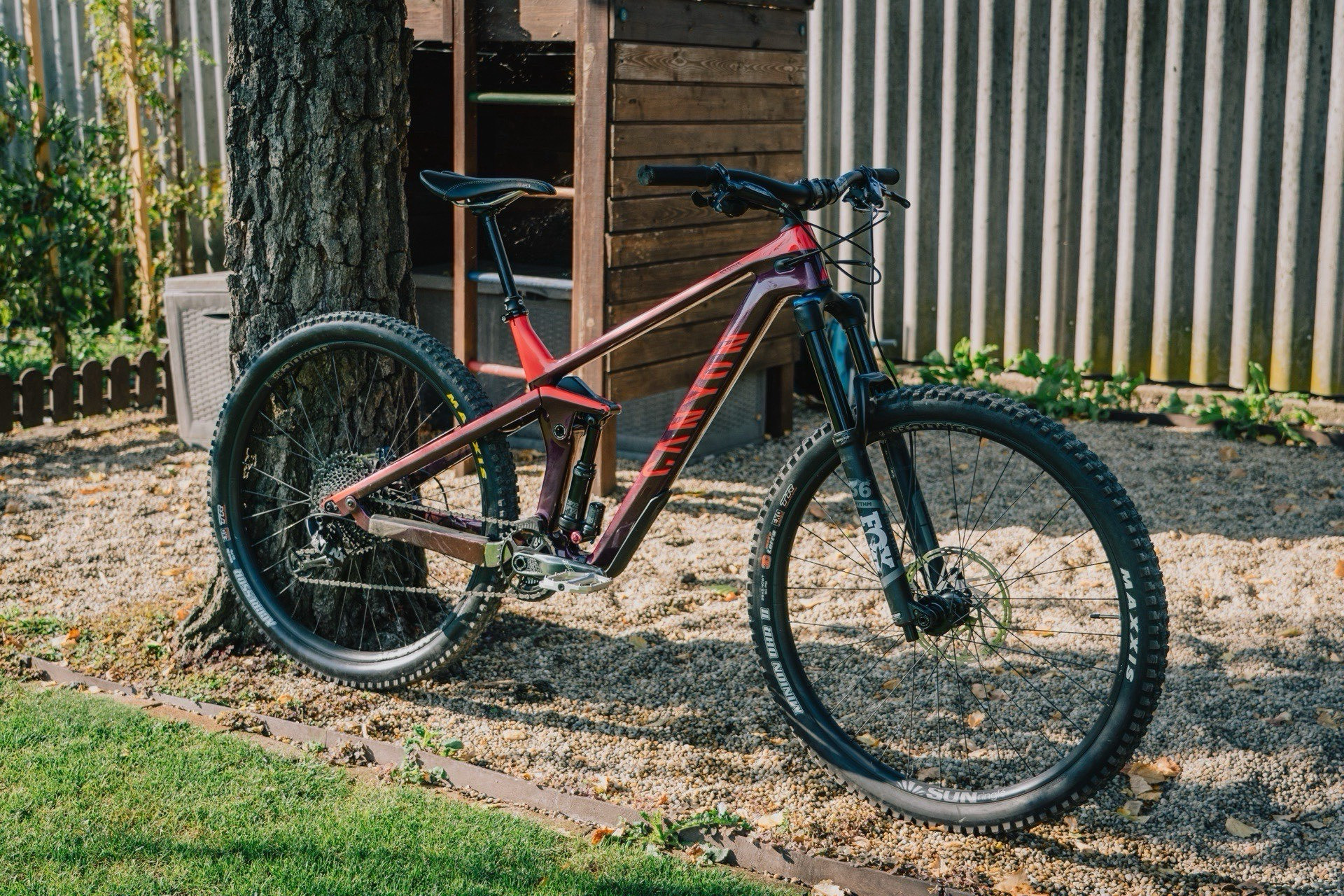 Canyon strive cheap 5.0 2019