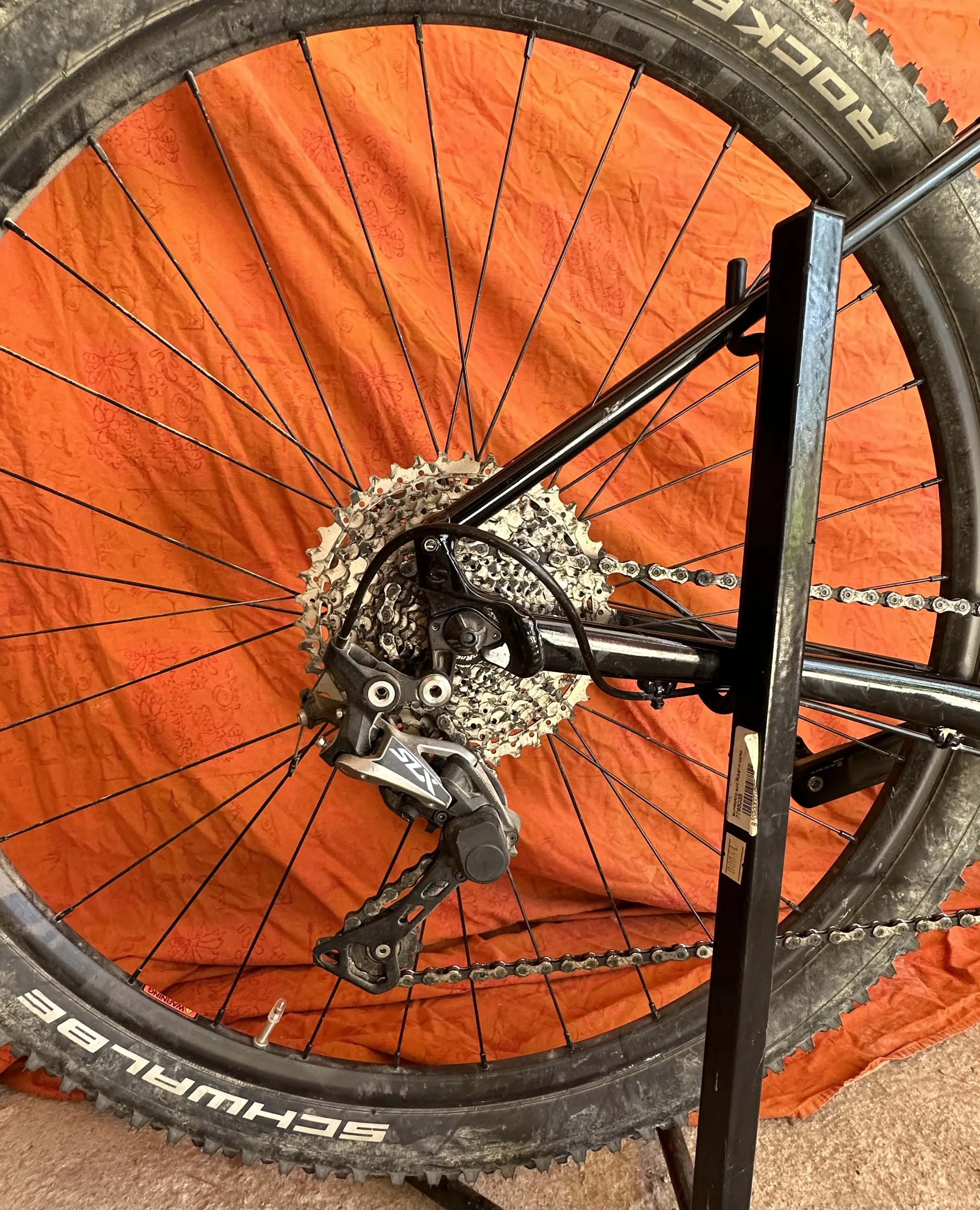 Cannondale trail 3 2019 hot sale orange