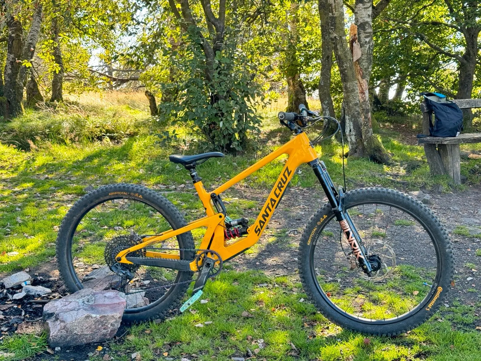 Santa cruz hot sale 5010 c