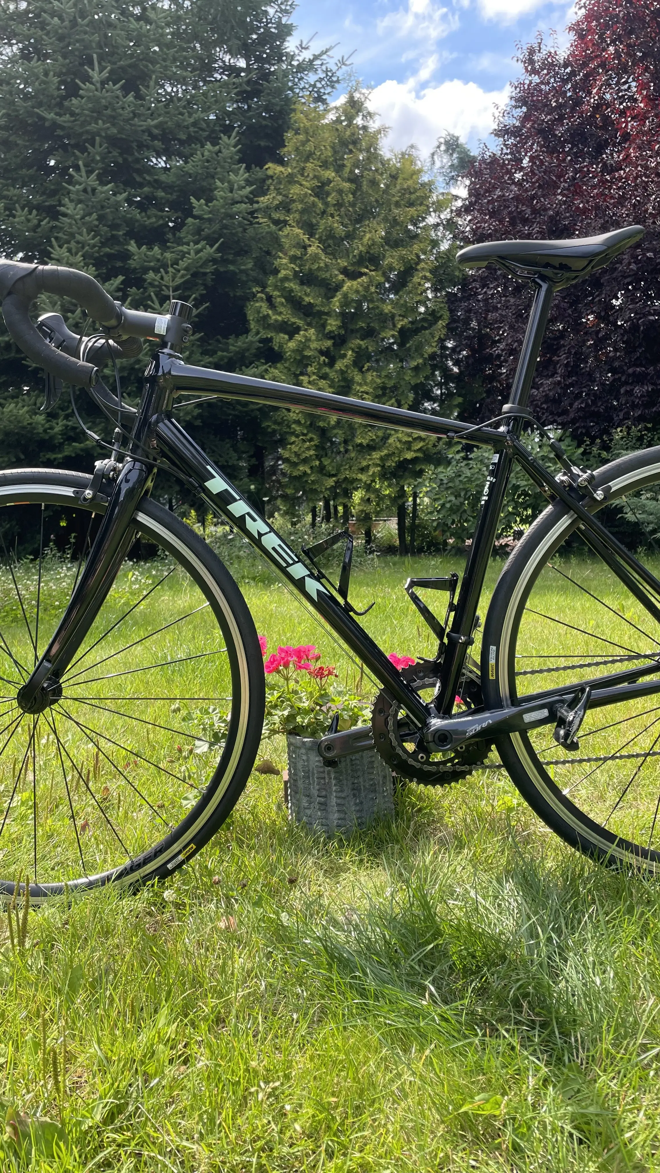 2019 domane hot sale al 3