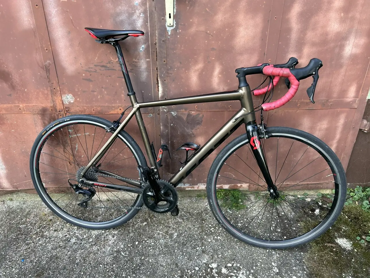 Scott on sale speedster 2019