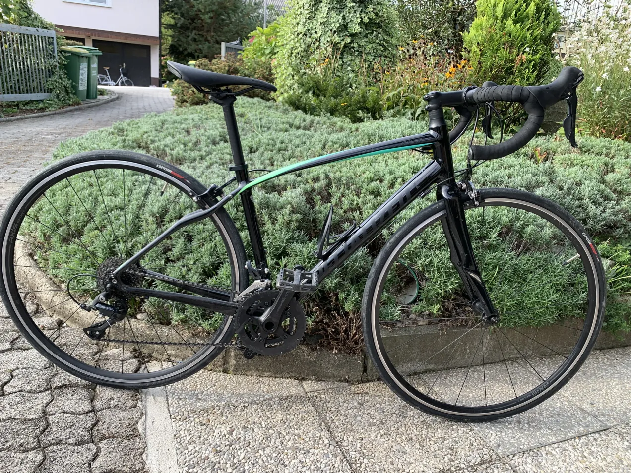 Specialized cheap dolce sizing