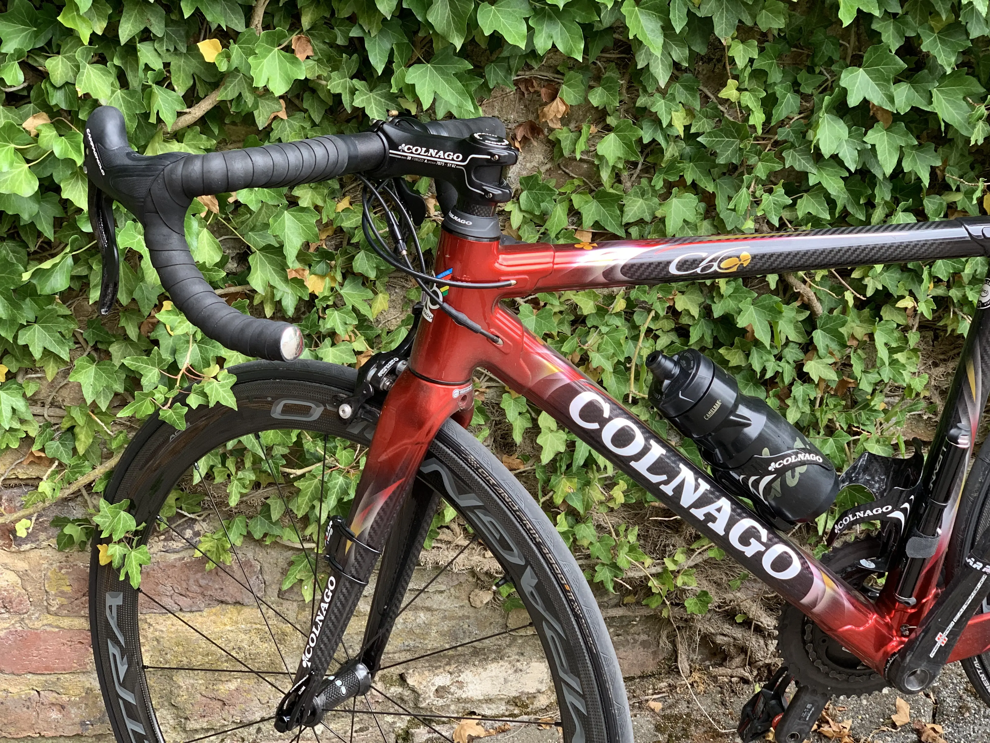 Colnago store c60 2020