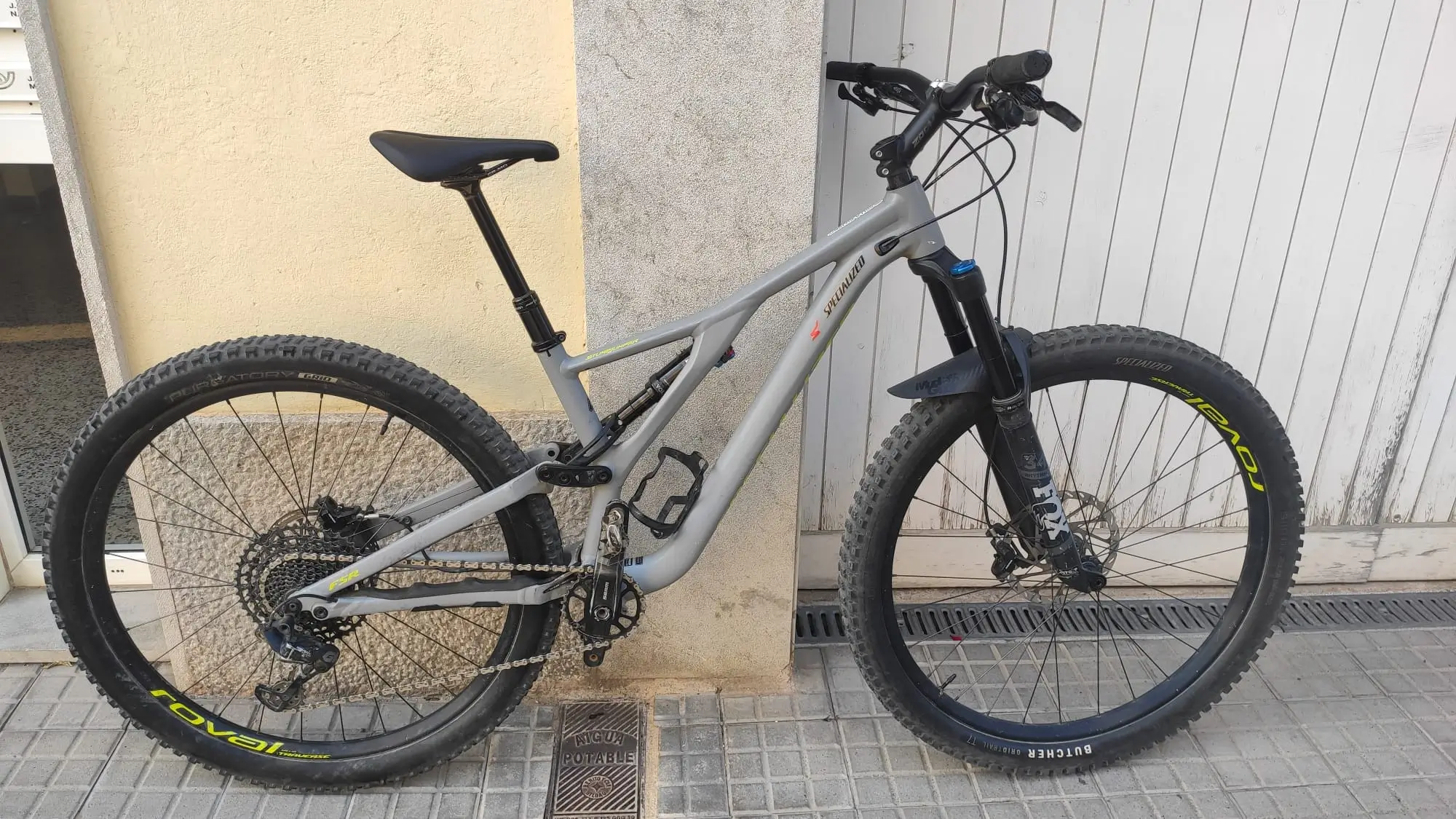 Specialized stumpjumper best sale 2019 29er