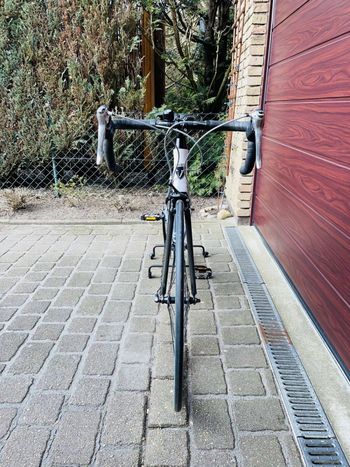 Used Red Bull (Rose) Pro SL 2007 Road & Gravel, White — image 7 of 7