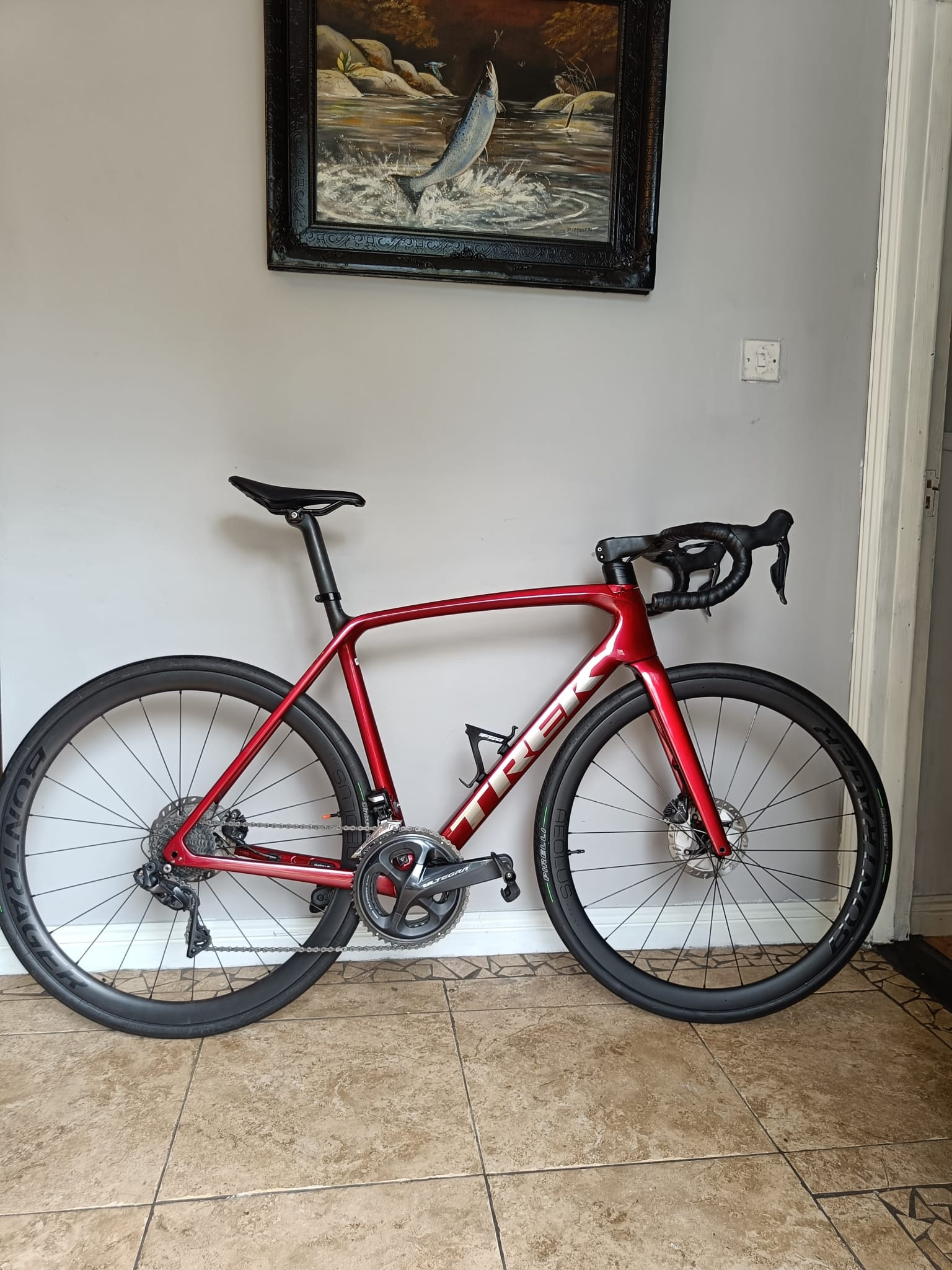 Trek Monda Slr Disc Frameset Used In Buycycle