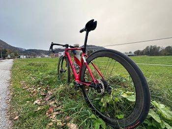 Used Wilier FILANTE SLR SHIMANO DURA ACE 9270 DI2 12S 2022 Road & Gravel, Rojo — image 4 of 17