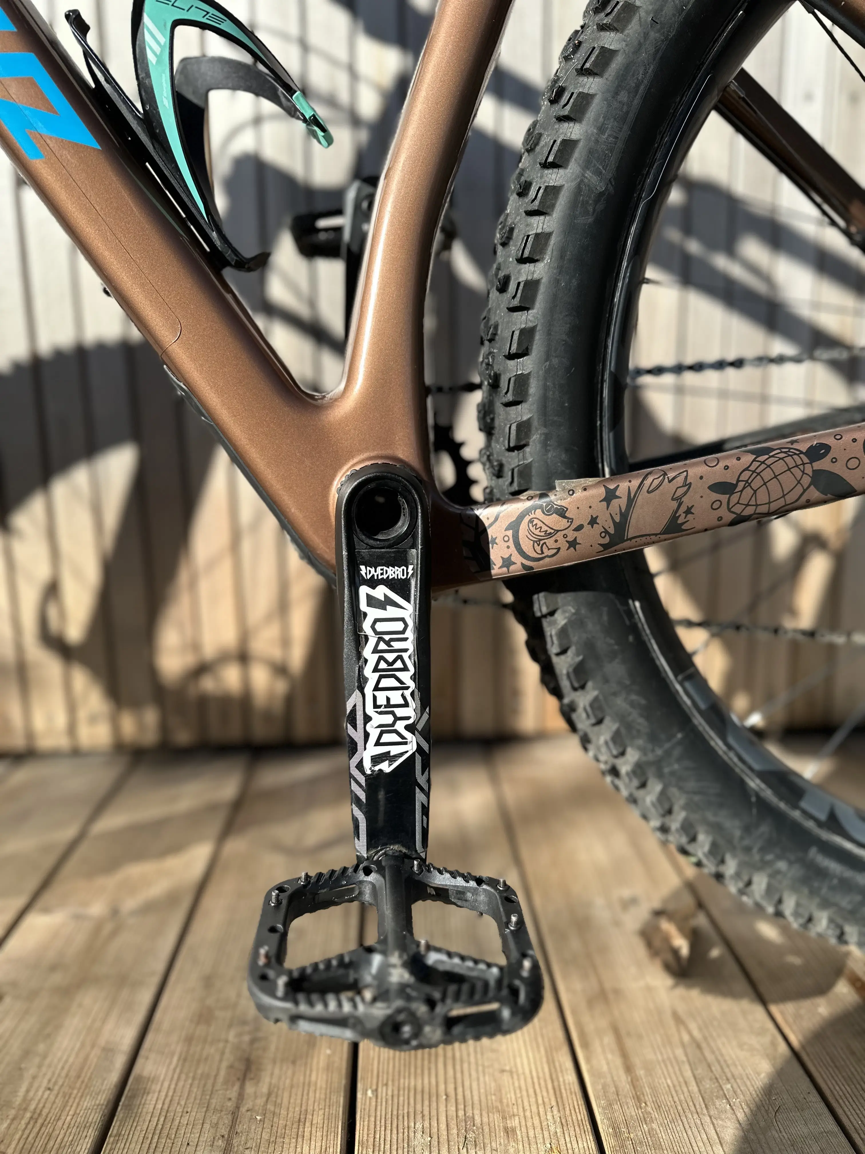 Carbon chameleon hot sale frame