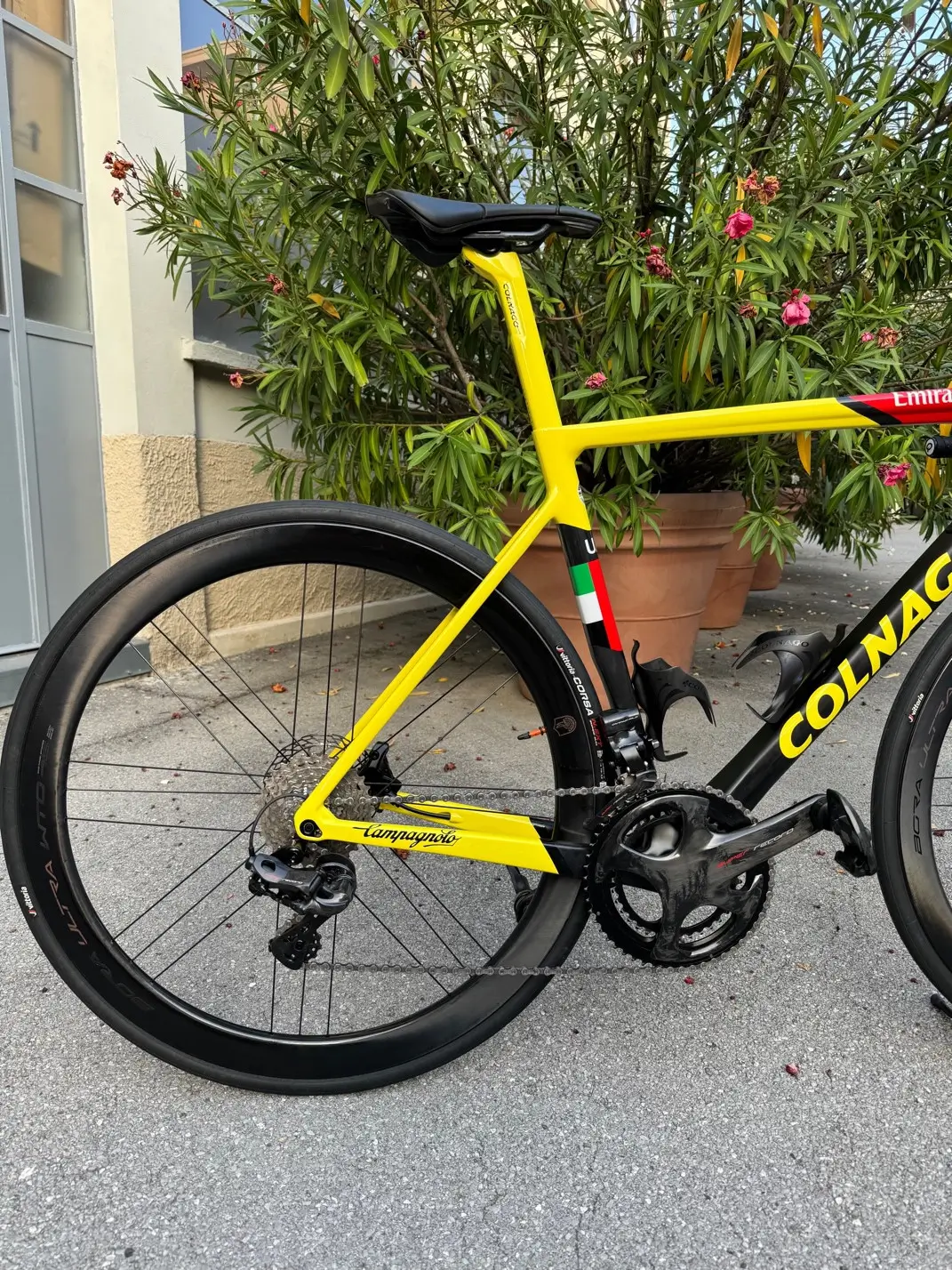 Colnago v3rs hot sale campagnolo