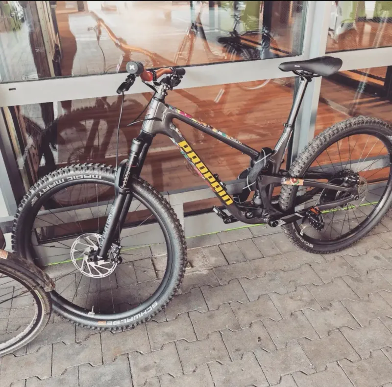 Gebrauchtes Propain Hugene CF 29" Start 2022 Mountainbike, Hellgrau, 29 — Bild 2 von 3