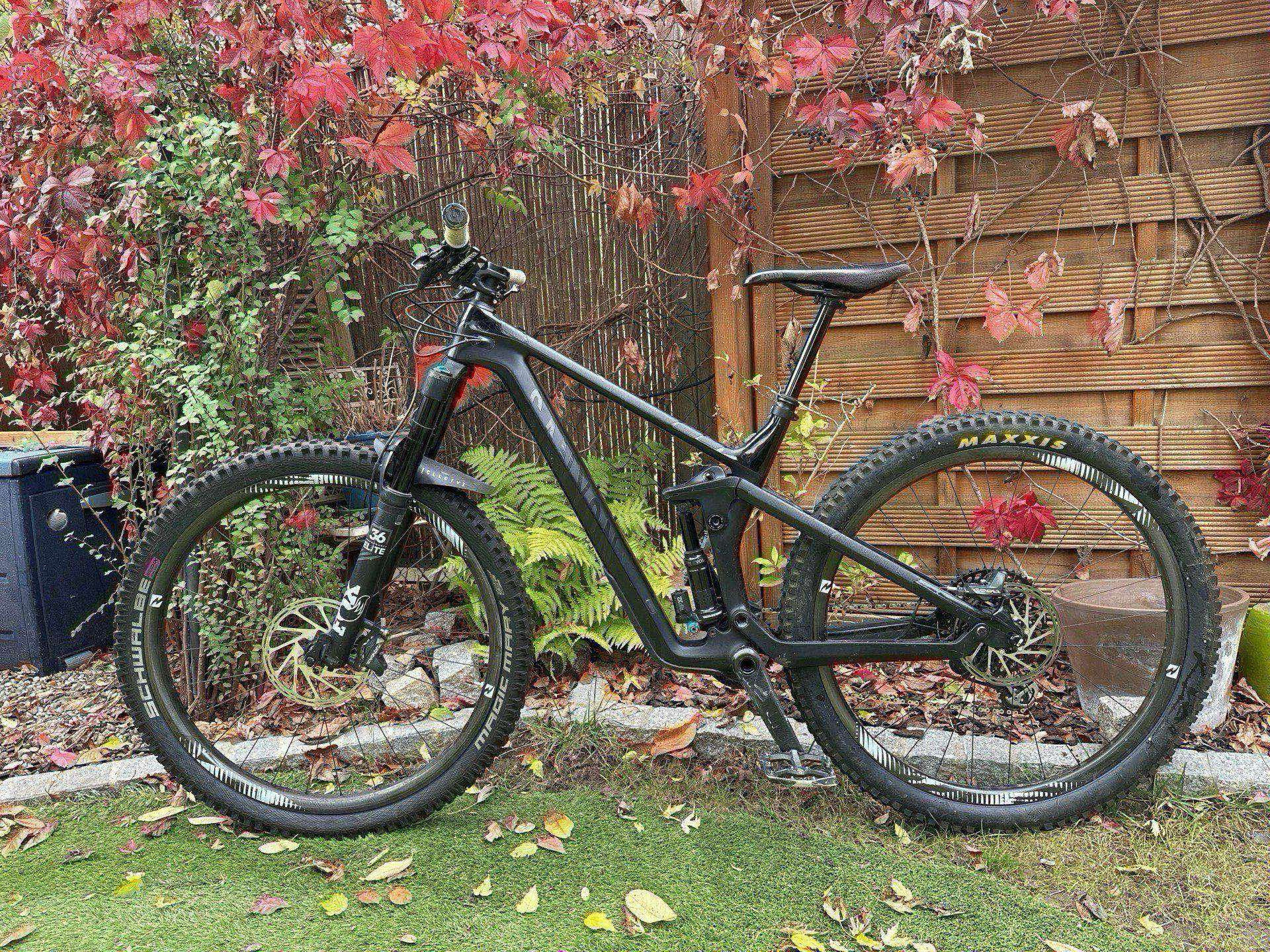 Canyon strive cf hot sale 5.0 for sale