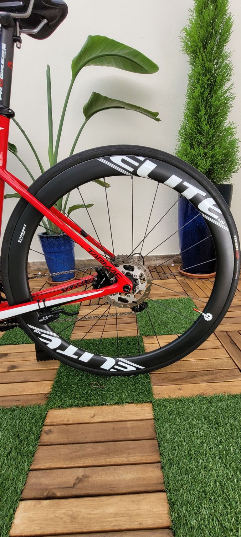 Specialized Tarmac SL6 Sport Disk used in 56 cm | buycycle