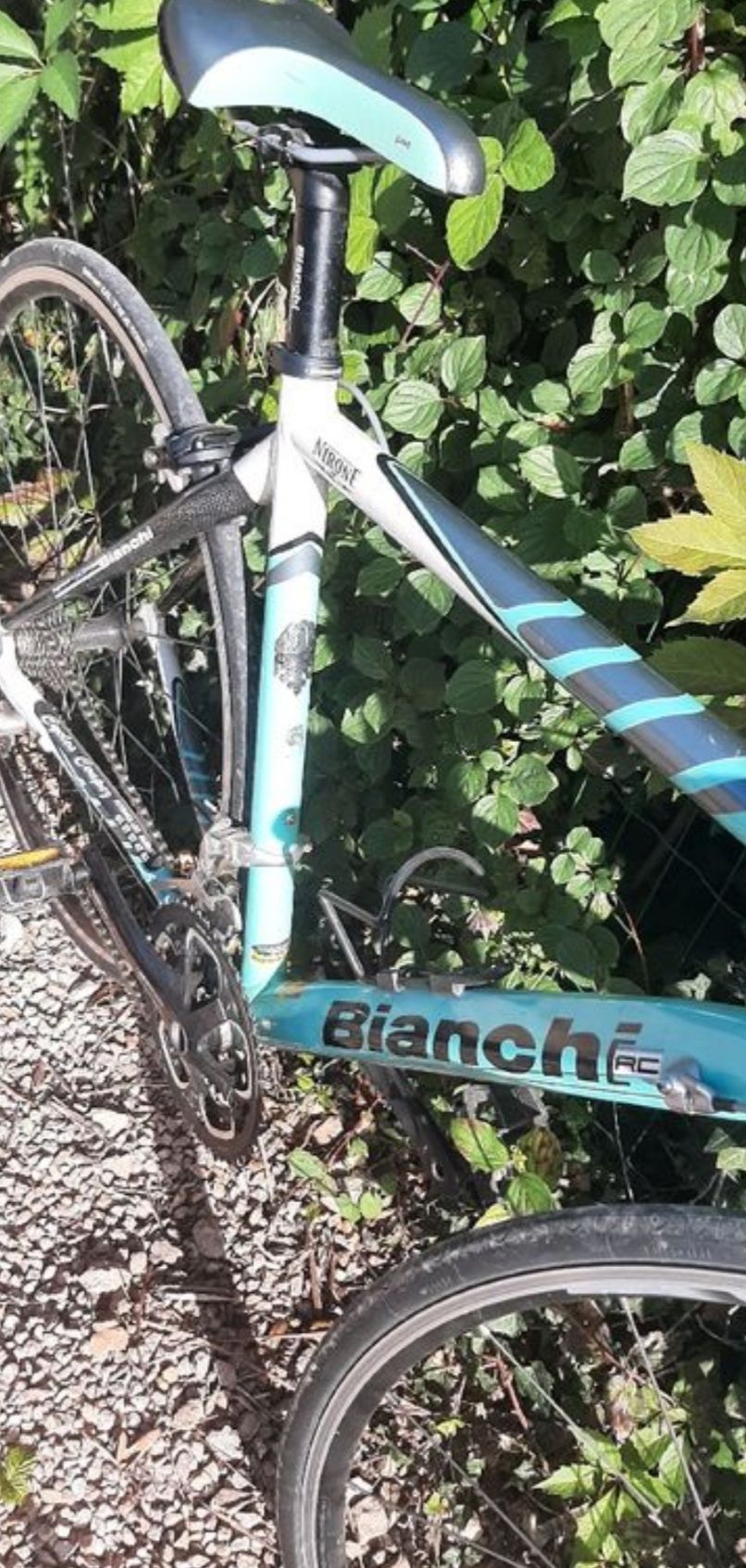 Bianchi via nirone 7 2011 hot sale