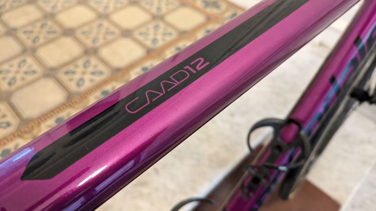 Caad12 purple discount