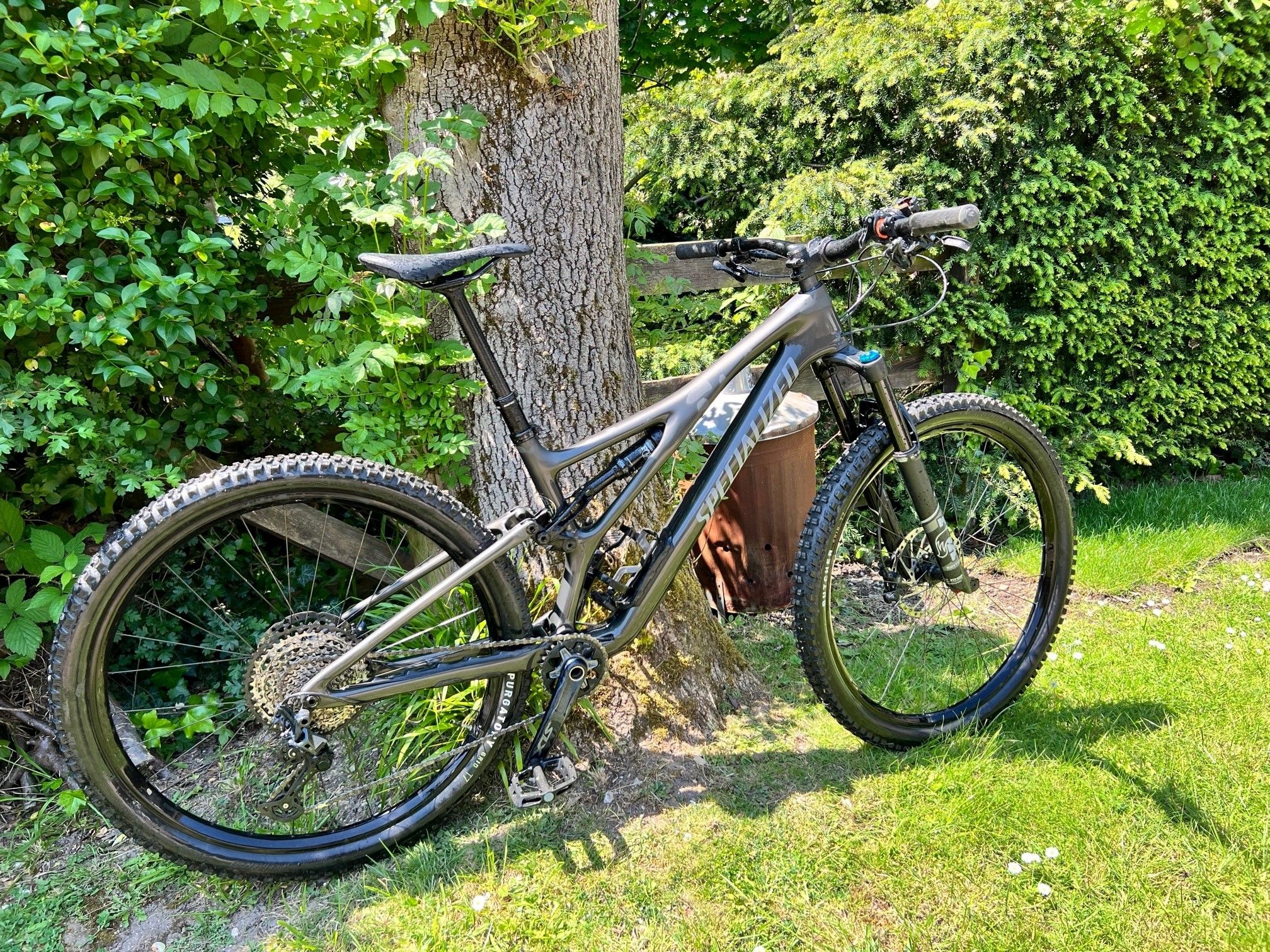 2019 stumpjumper best sale st 29