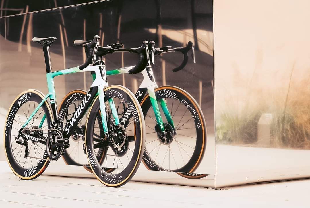 Bora 2024 hansgrohe venge