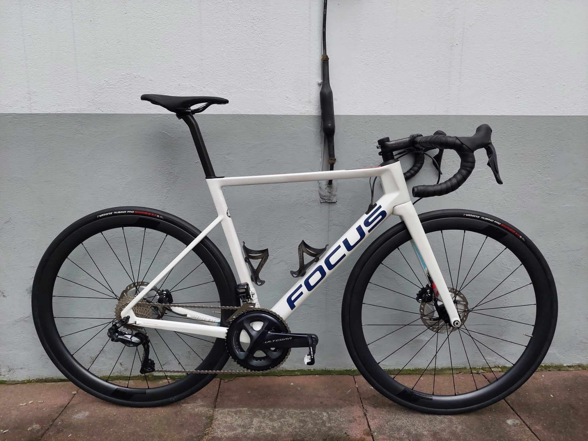 Focus izalco store max 8.9