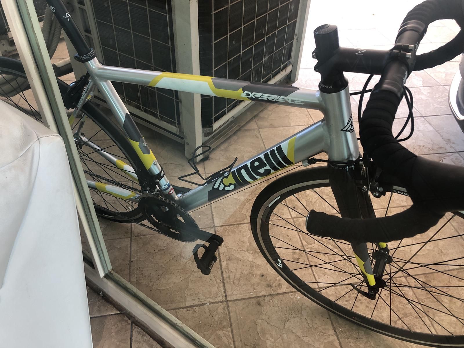 Cinelli experience 2024 2019 review