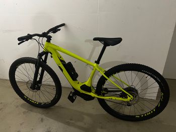 Specialized turbo levo online hardtail comp 29 2019