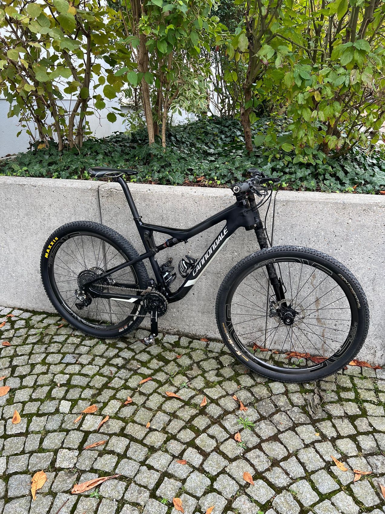 Cannondale scalpel discount carbon 1 2019