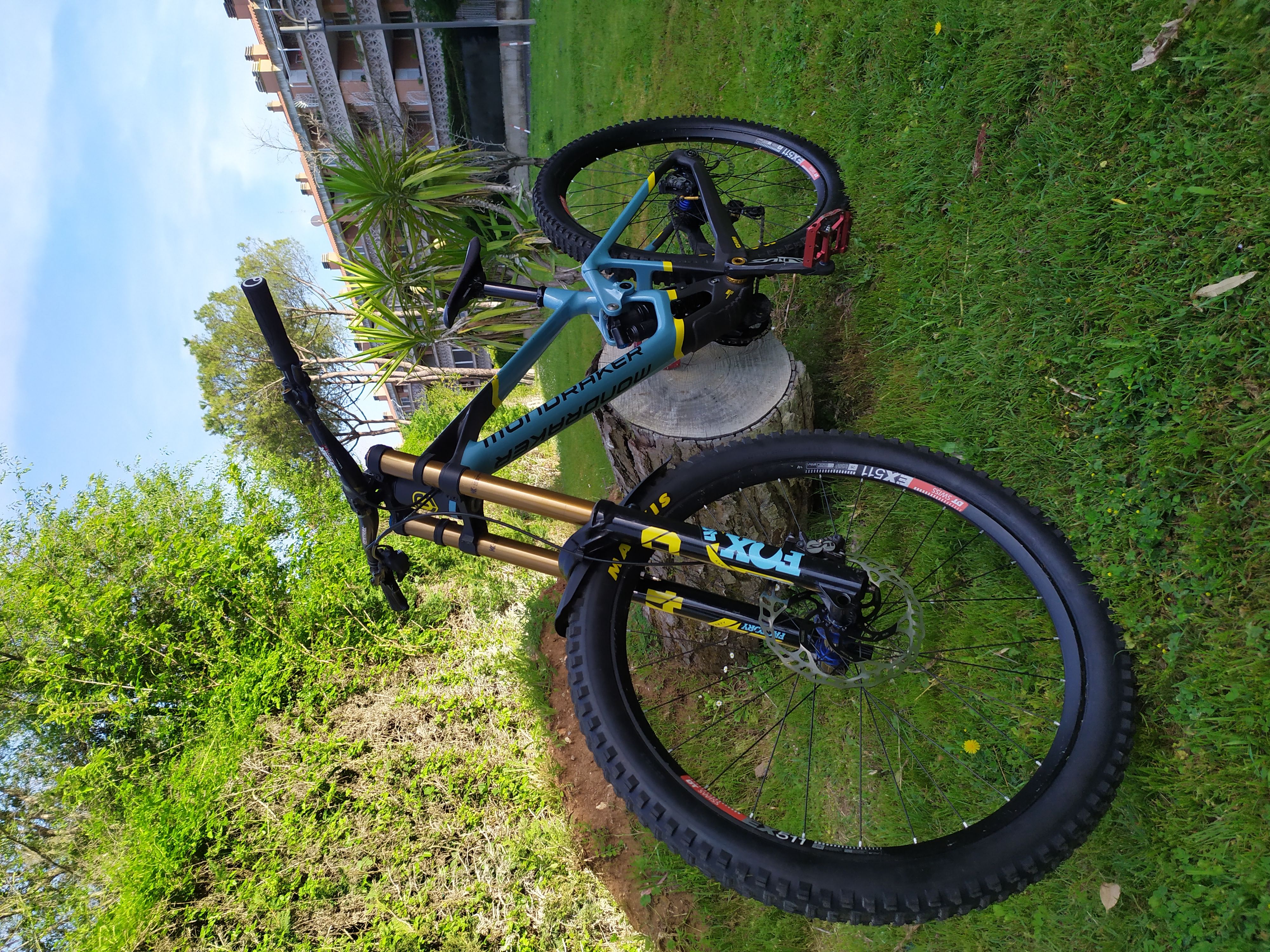 Mondraker summum downhill discount bike