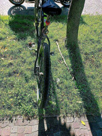 Used ROCKRIDER 29' inch Hardtail Mountain Bike XC 100 Shimano 1x11 2022 Mountainbike — image 4 of 5