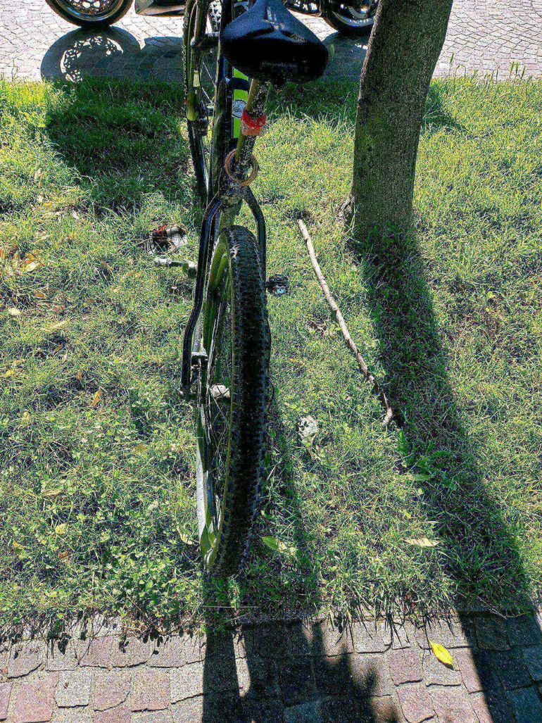 Used ROCKRIDER 29' inch Hardtail Mountain Bike XC 100 Shimano 1x11 2022 Mountainbike — image 4 of 5