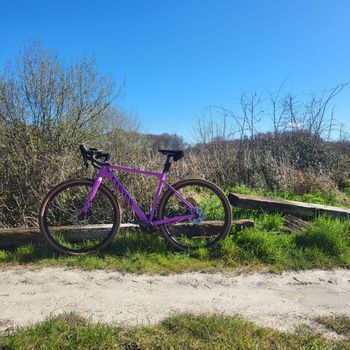 Used Canyon Grizl 7 2022 Road & Gravel, Purple — image 3 of 4