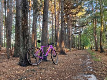 Used Canyon Grizl 7 2022 Road & Gravel, Purple — image 4 of 4