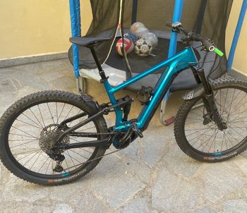 Used Bergamont E-Trailster Pro 2023 Mountainbike, Blue, 29 — image 2 of 7