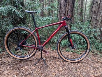 Specialized epic ht expert clearance 2020